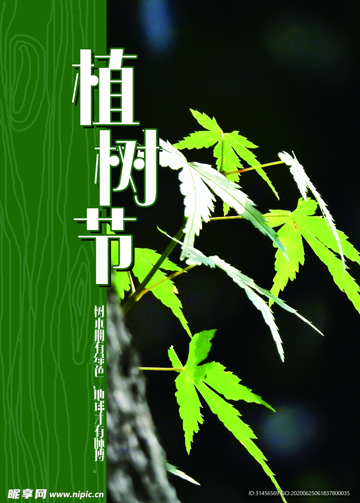 植树节