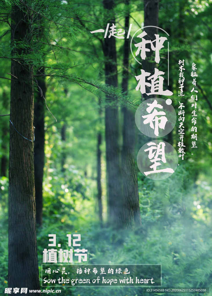植树节