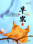 早安