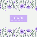 花纹花边素材