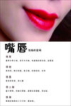 嘴唇