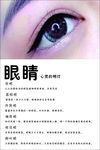 眼睛