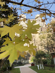 小区景观
