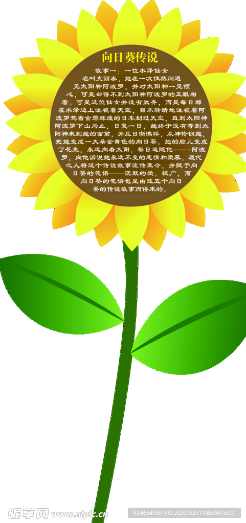 向日葵传说