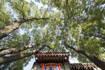 北京胡同风景