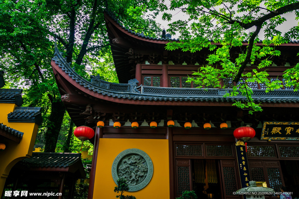 参天大树下的杭州灵隐寺