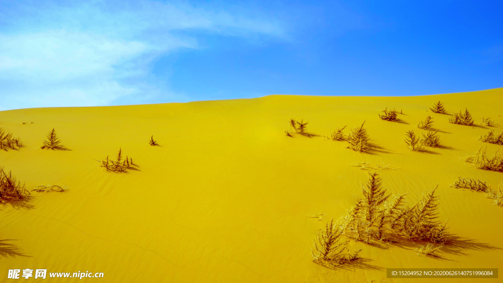 内蒙古响沙湾沙漠景观