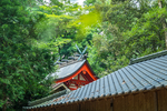 树林里的日本神社