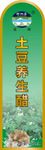 土豆养生醋