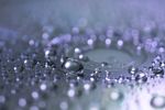 雨滴 水珠 露珠
