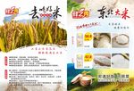 东北大米 长粒香  细长粒香
