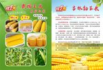 吉林玉米单页