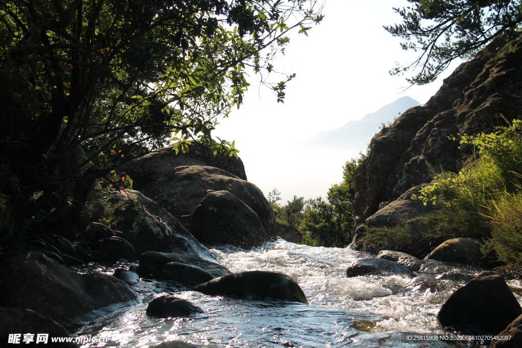 林间溪水山水风景图片