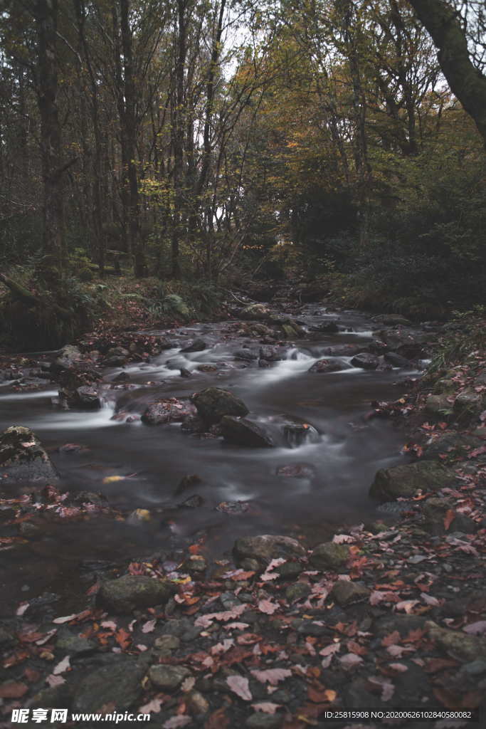 林间溪水山水风景图片