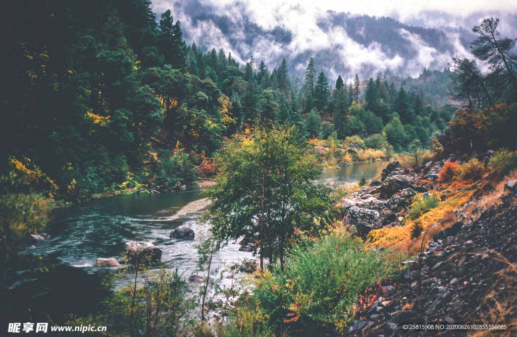 林间溪水山水风景图片