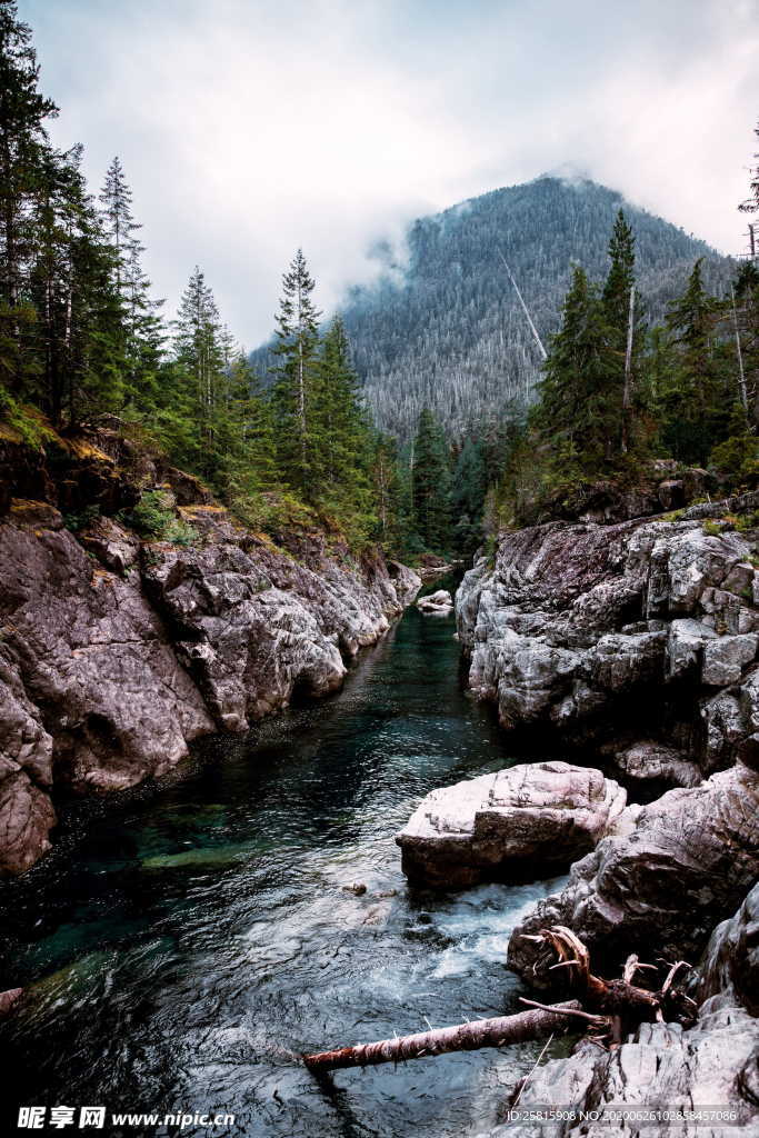 林间溪水山水风景图片