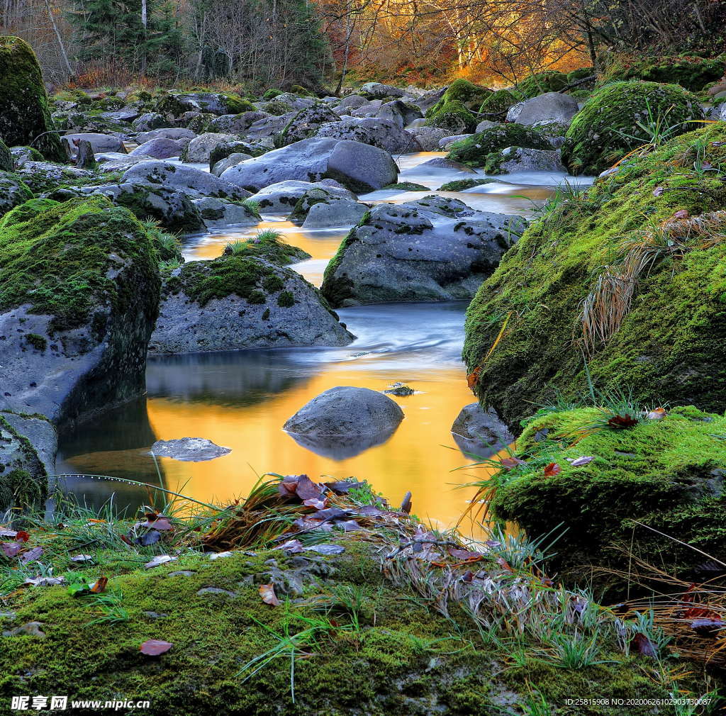 林间溪水山水风景图片