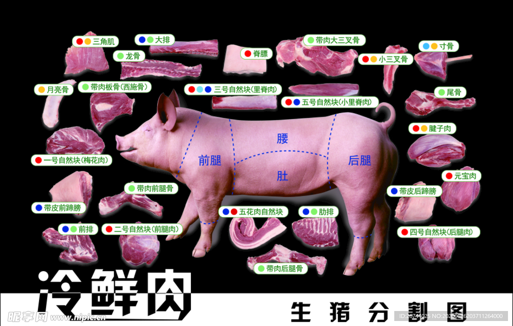猪分解图