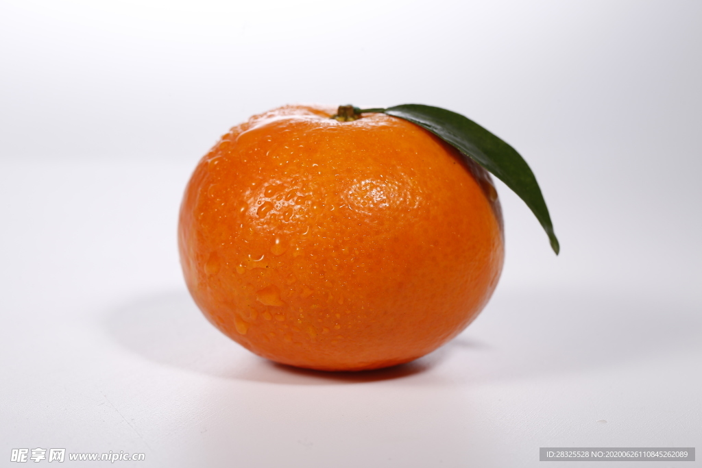 沃柑
