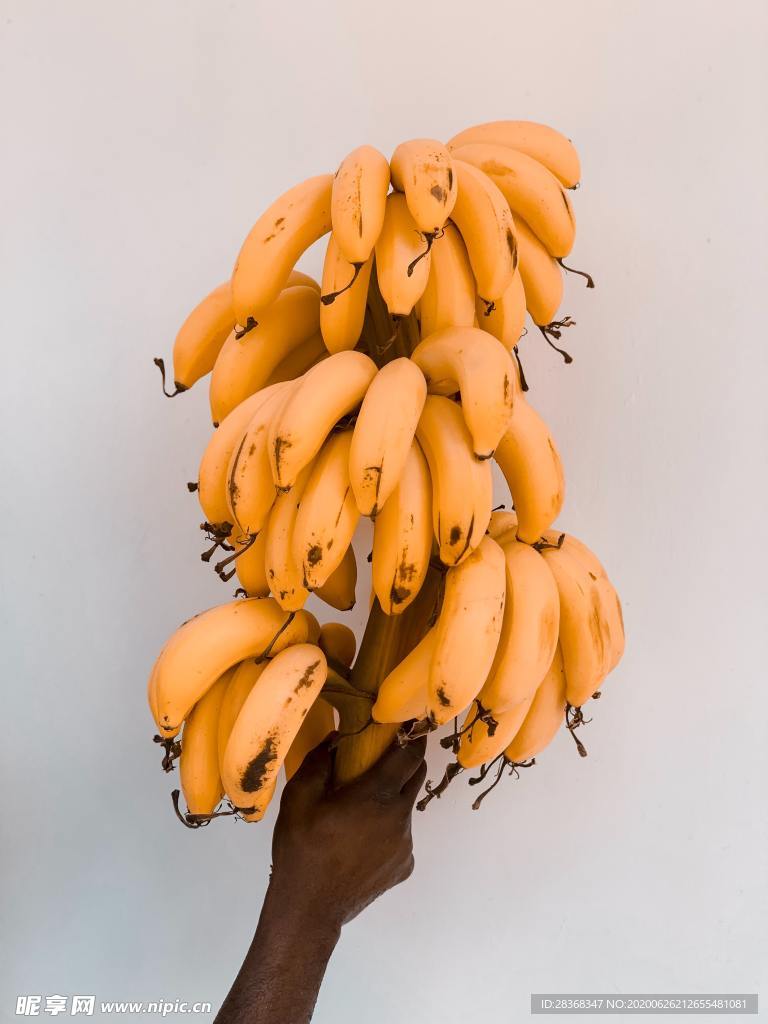 香蕉