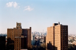 城市
