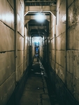 房子