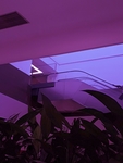 房子