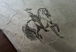 LOGO样机