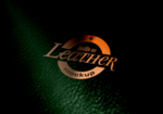 LOGO样机
