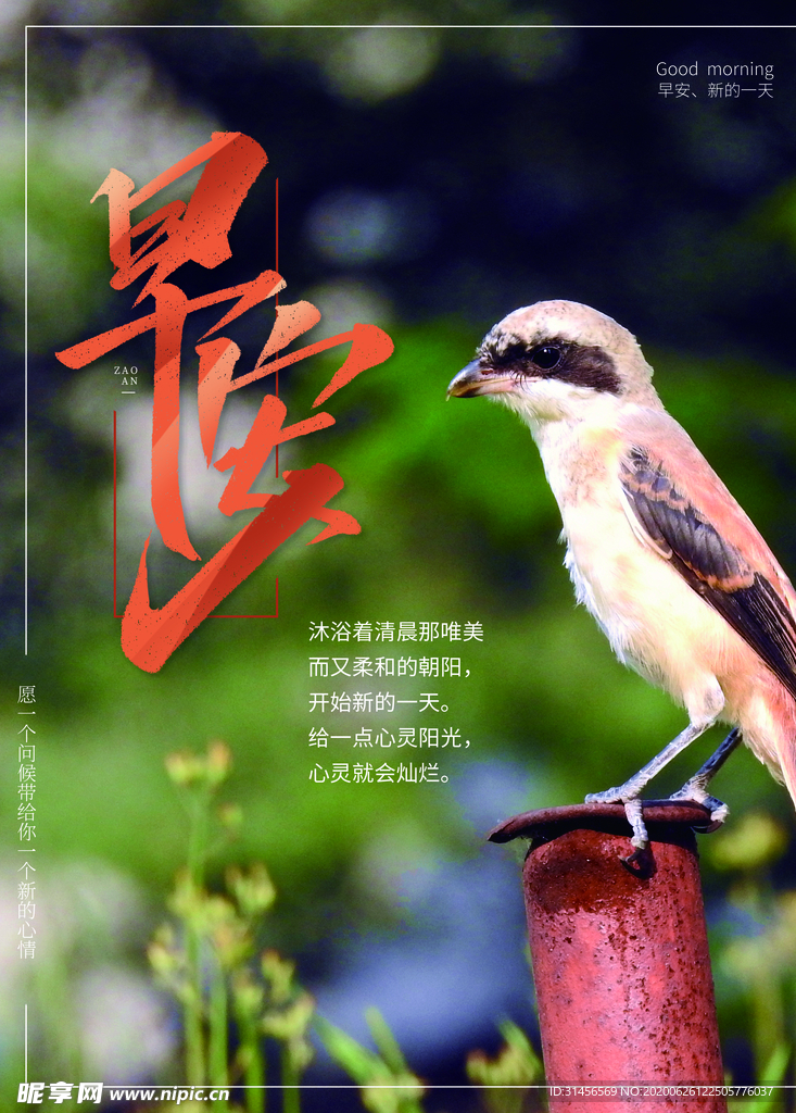 早安