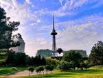 城市景观