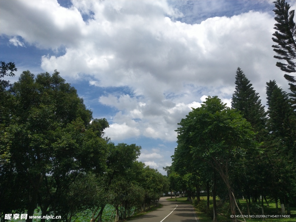 白云绿树