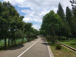 路