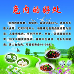 兔肉