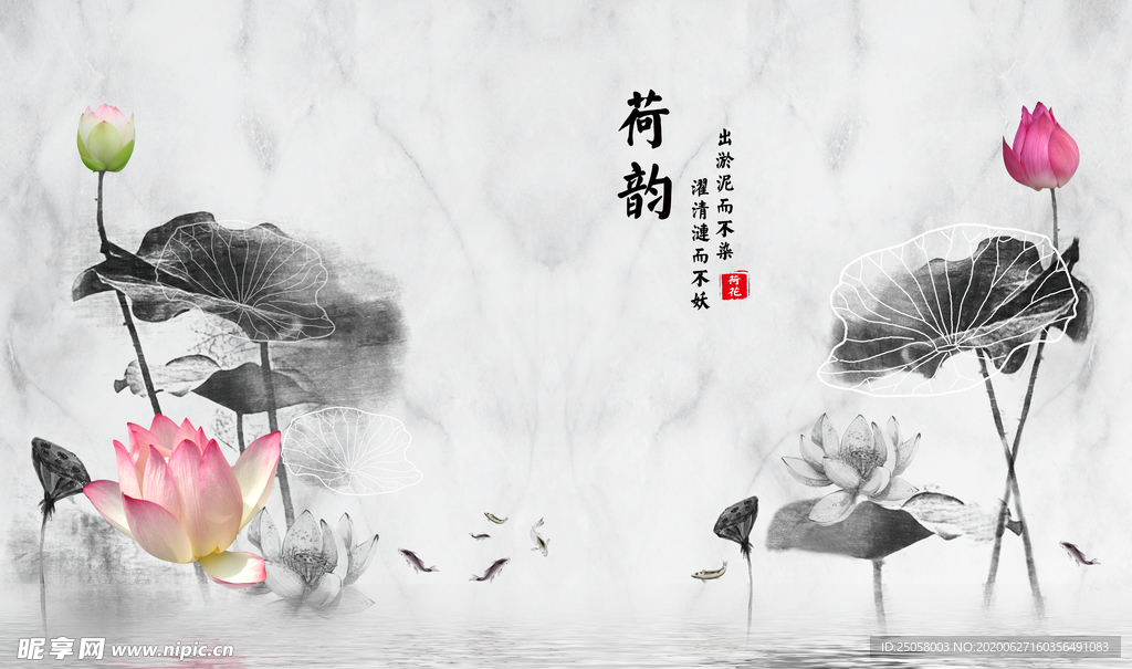 荷韵