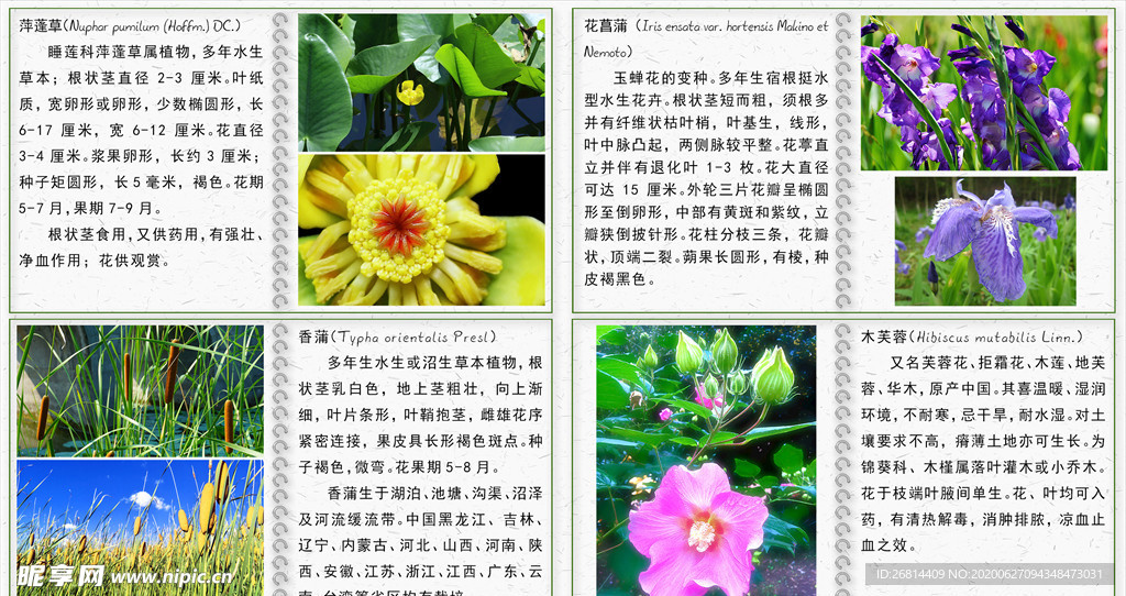 湿地公园