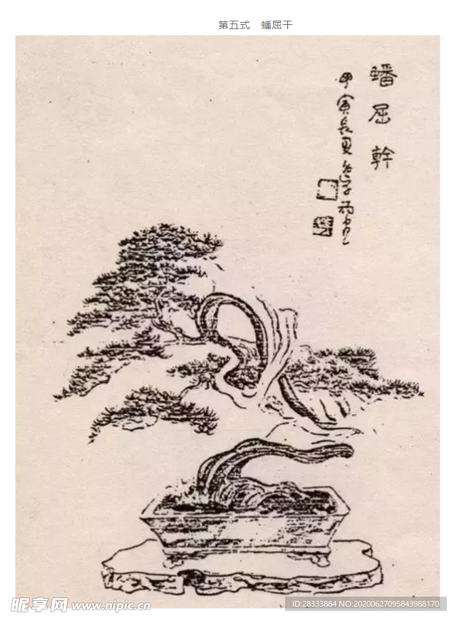盆景造型五式