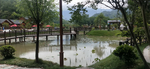 乡村小桥 水塘 长水村