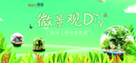 微景观DIY