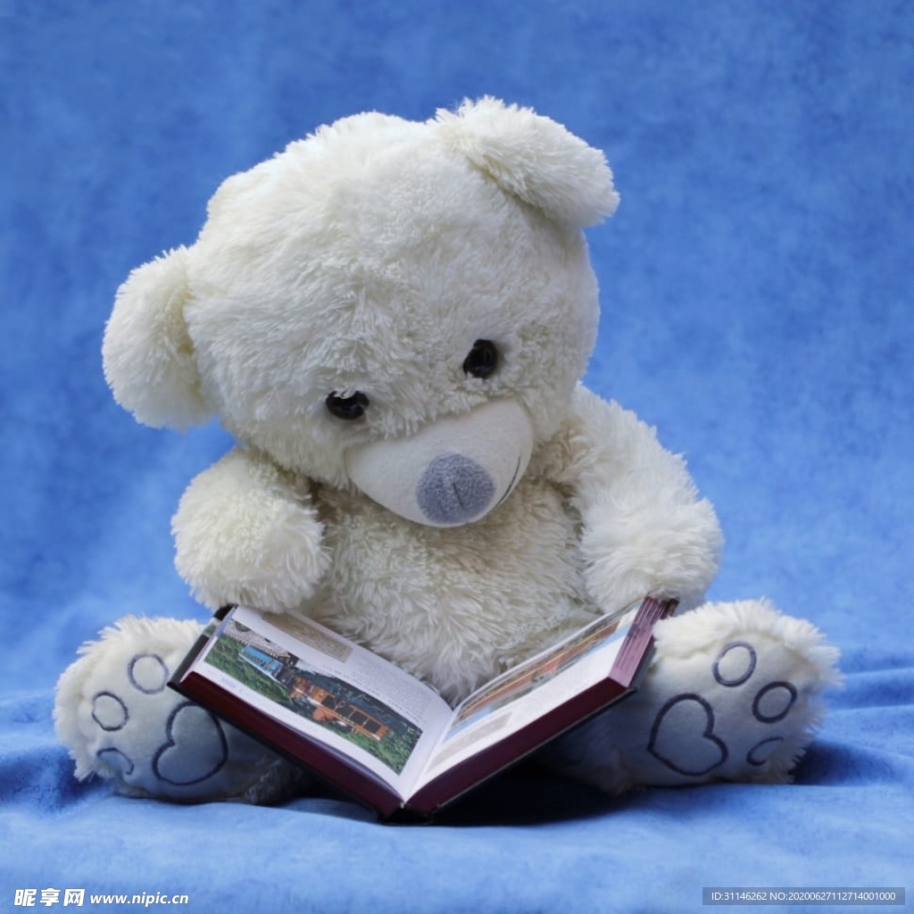 泰迪熊看书