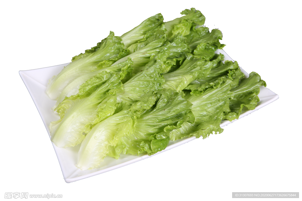 生菜