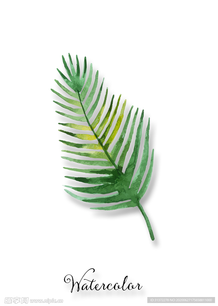 植物装饰画图片