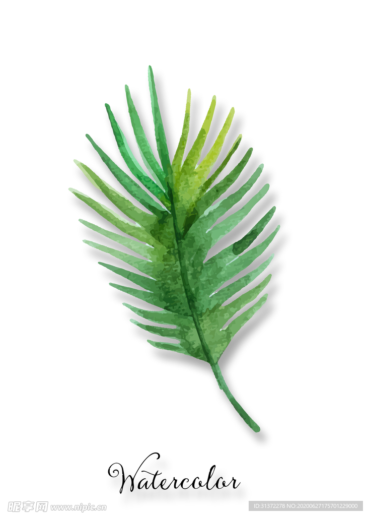 植物装饰画图片