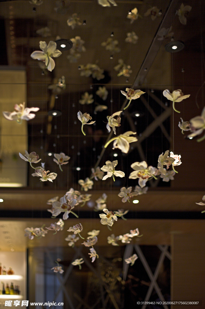 特色餐厅 餐馆 饭店 车厢餐厅