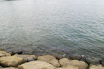 海岸图片