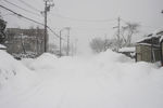 雪景图片