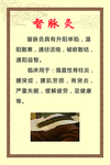 督脉灸 督脉