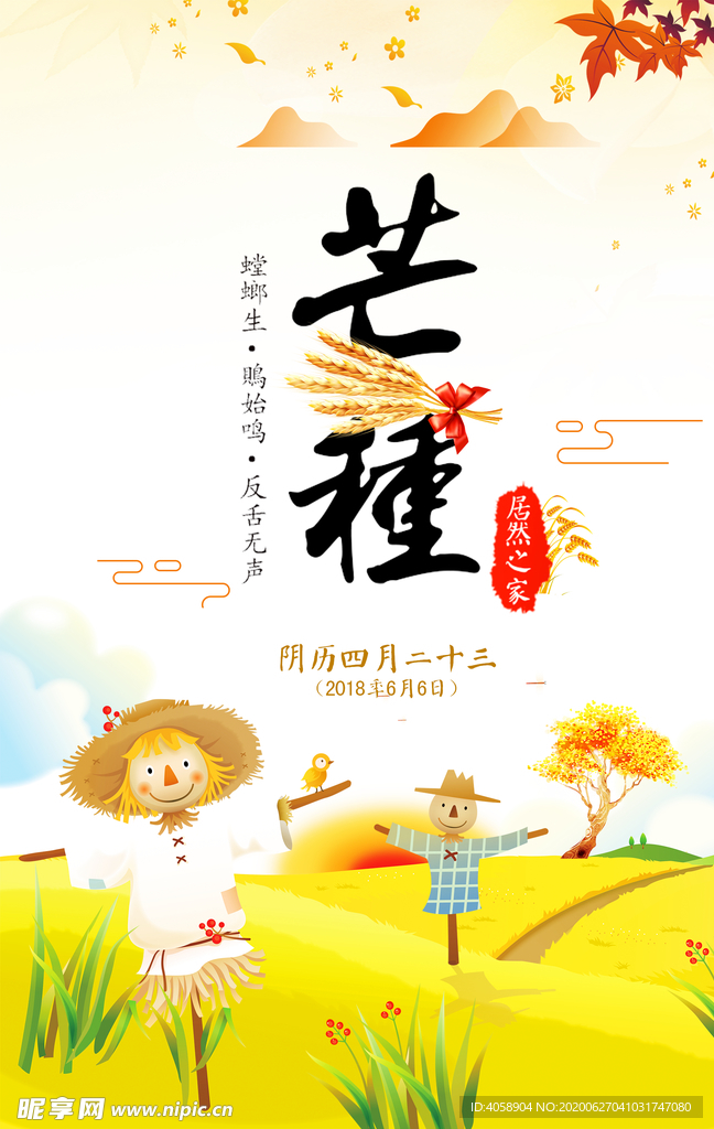 芒种