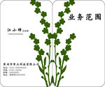 绿色花名片