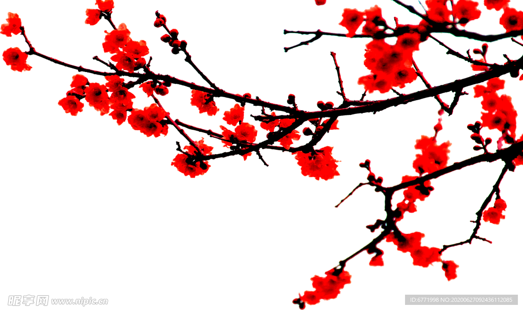 梅花